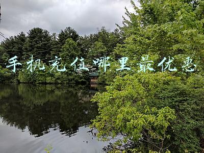 手机充值哪里最优惠