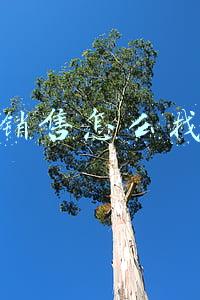 网络销售怎么找客户