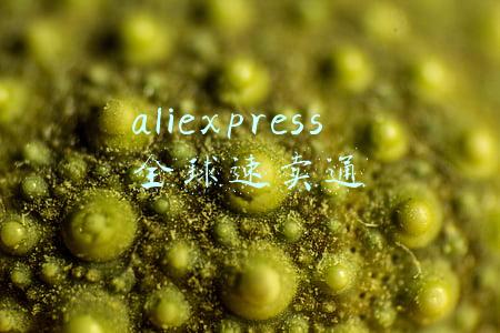 aliexpress全球速卖通