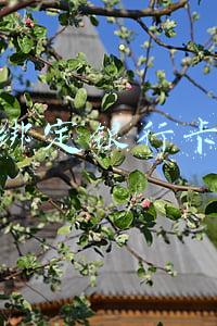微信绑定银行卡步骤
