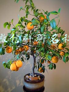 微信群聊名称怎么不让别人改(群里有以下信息，你将担责！已有人被判刑！)