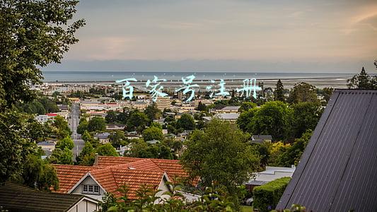 百家号注册流程(新手怎么注册百家号账号)