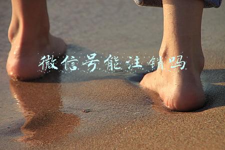 微信号能注销吗