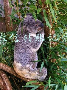 微信转账记录