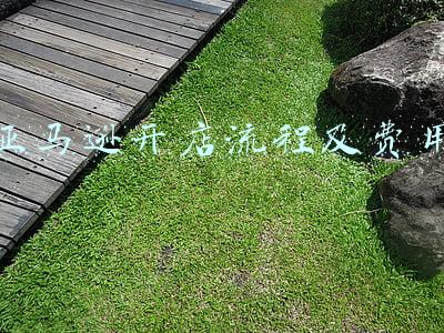 亚马逊开店流程及费用 物流费用(亚马逊头程货代流程介绍及费用核算指南)
