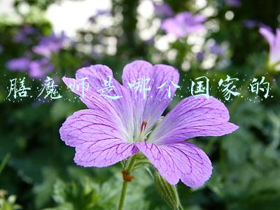 膳魔师是哪个国家的产品的好(膳魔师保温杯到底哪国的 你未必知道)