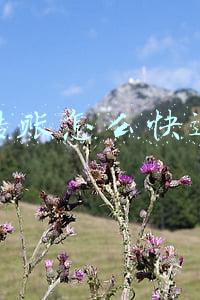 微信转账怎么快速撤回对方没收(年底应收账款收不回来？这3招教你快速收回款)