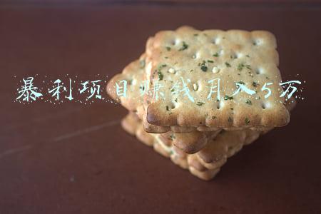 暴利项目赚钱月入5万