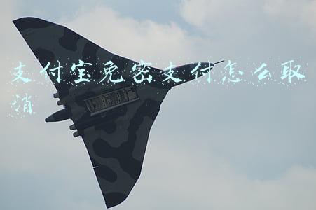 支付宝免密支付怎么取消