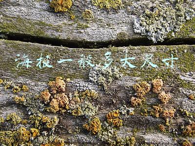 海报一般多大尺寸