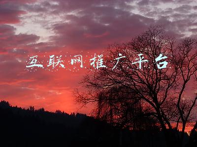 互联网推广平台