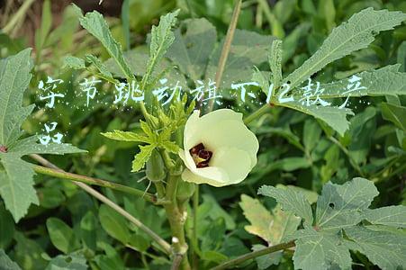 字节跳动旗下12款产品的联系(重量级选手入场！字节跳动大动作，即将发布云产品，旗下公司注册资本暴增99倍（附股）)