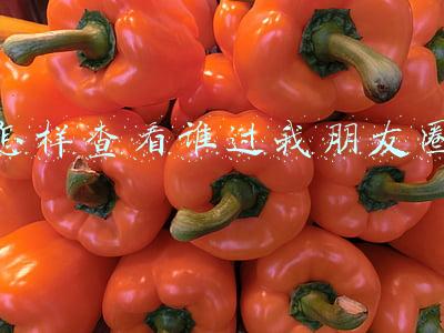 怎样查看谁过我朋友圈