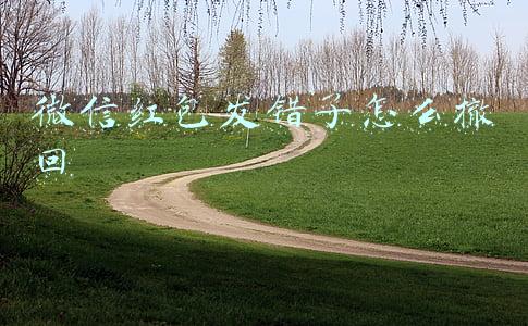 微信红包发错了怎么撤回