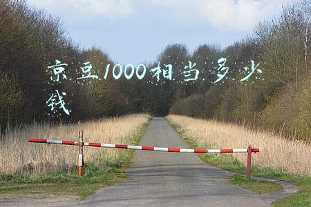 京豆1000相当多少钱