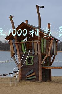 京豆1000相当多少钱