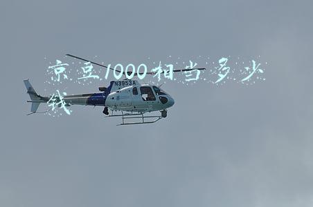 京豆1000相当多少钱