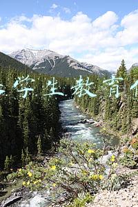 苹果学生教育优惠