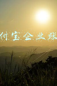 支付宝企业账号