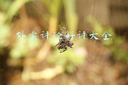 外卖评论好评大全