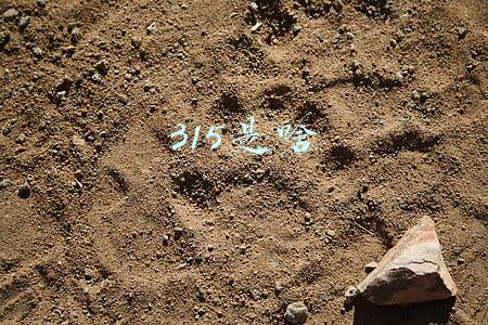 315是啥时候(2021年央视315晚会全程视频完整版回放 曝光全名单)