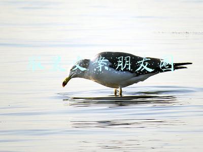 服装文案朋友圈