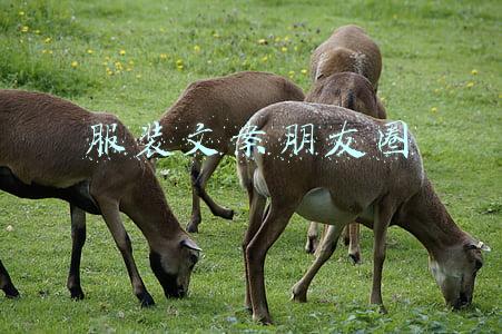 服装文案朋友圈