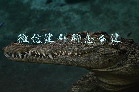 微信建群聊怎么建