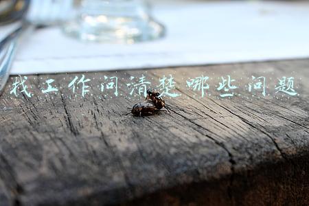 找工作问清楚哪些问题