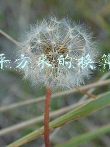 尺和平方米的换算公式