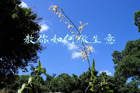 教你如何做生意
