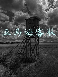 亚马逊客服工资多少(亚马逊把基本薪资上限从16万美元上调至35万美元)