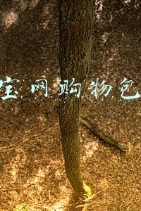 淘宝网购物包包