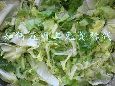 如何在网上免费赚钱