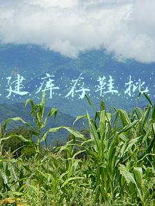 福建库存鞋批发