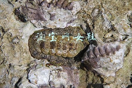 淘宝网女鞋