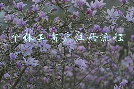 个体工商户注册流程