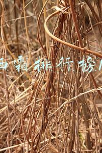 防晒霜排行榜10强