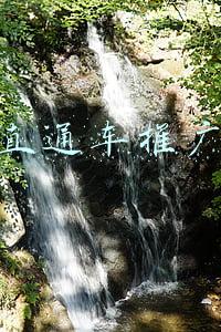 直通车推广计划怎么删除(直通车智能推广计划屏蔽关键词4种高阶技巧，提升点击率效果)