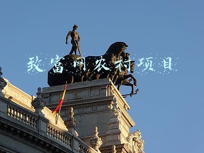 致富网农村项目