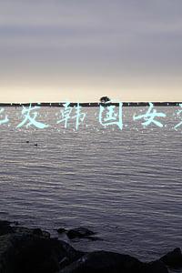 批发韩国女装