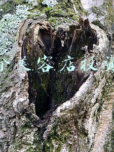 开个美容店赚钱吗《开美容店赚钱吗》