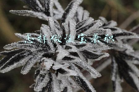 怎样做淘宝兼职模特(寄拍网拍兼职哪里找？寄拍模特怎么找平台？)