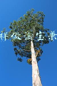 怎样做淘宝兼职