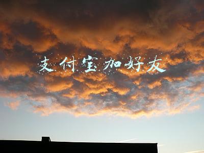 支付宝加好友