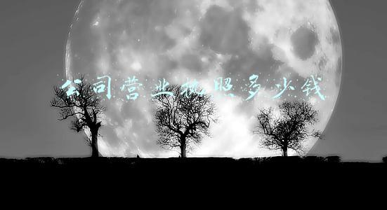 公司营业执照多少钱