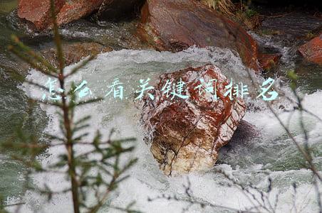 怎么看关键词排名