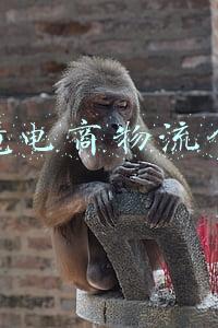 跨境电商物流仓储