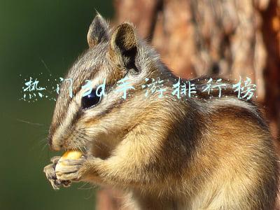 热门3d手游排行榜