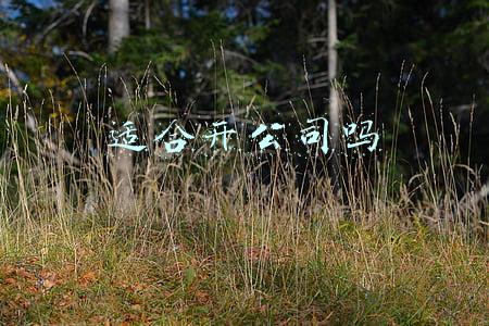 开公司容易吗(为什么大多数人创业的成功率是非常低的)